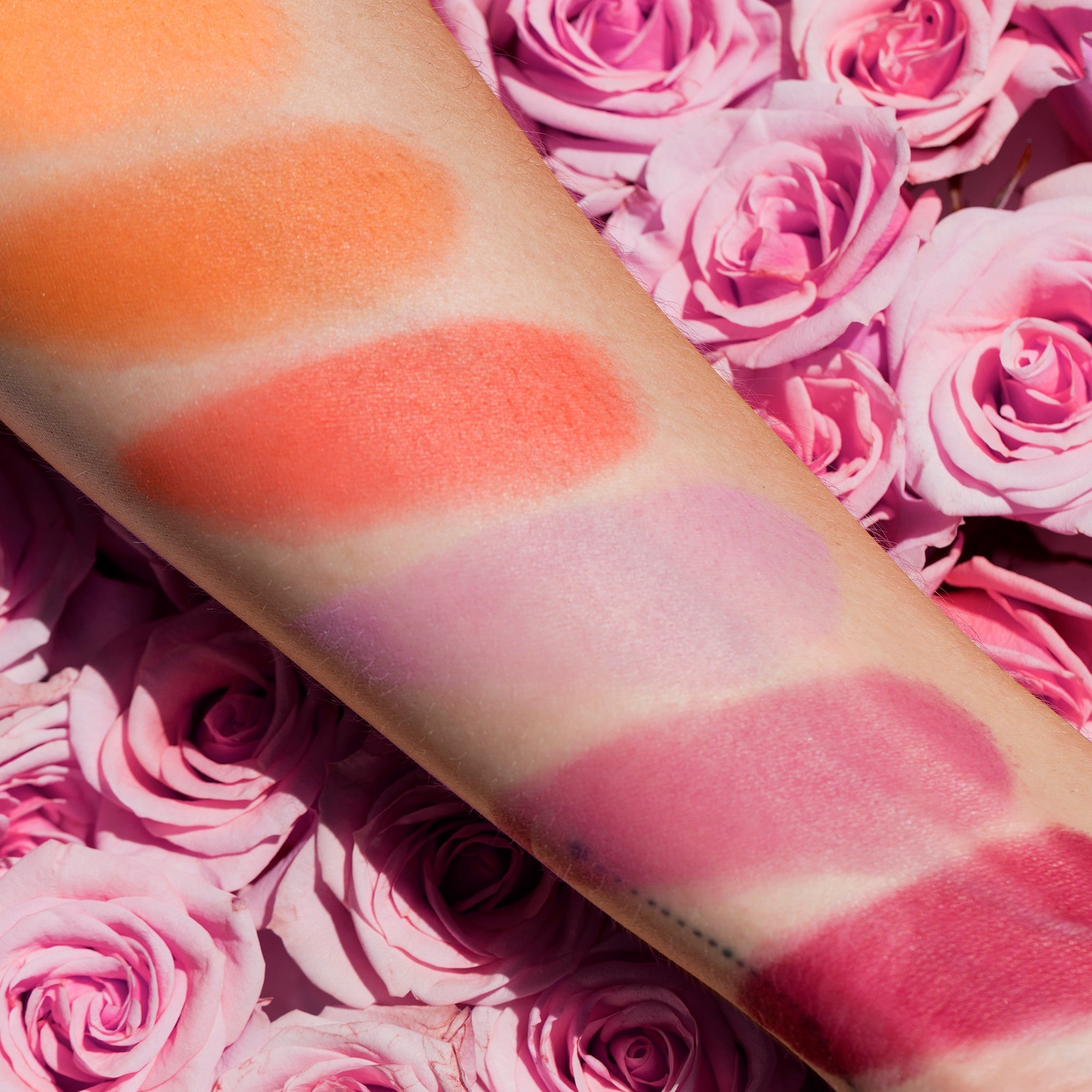 RoseCoral Blush Palette Lila Engel