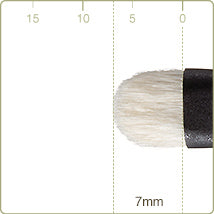 Chikuhodo - T-12 Eye shadow