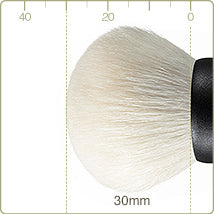 Chikuhodo - T-13 Foundation
