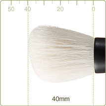 Chikuhodo - T-2 - Powder/Cheek brush