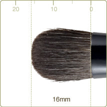 Chikuhodo - Z-5 Eye Shadow
