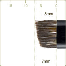 Chikuhodo - Z-6 Eye Brow