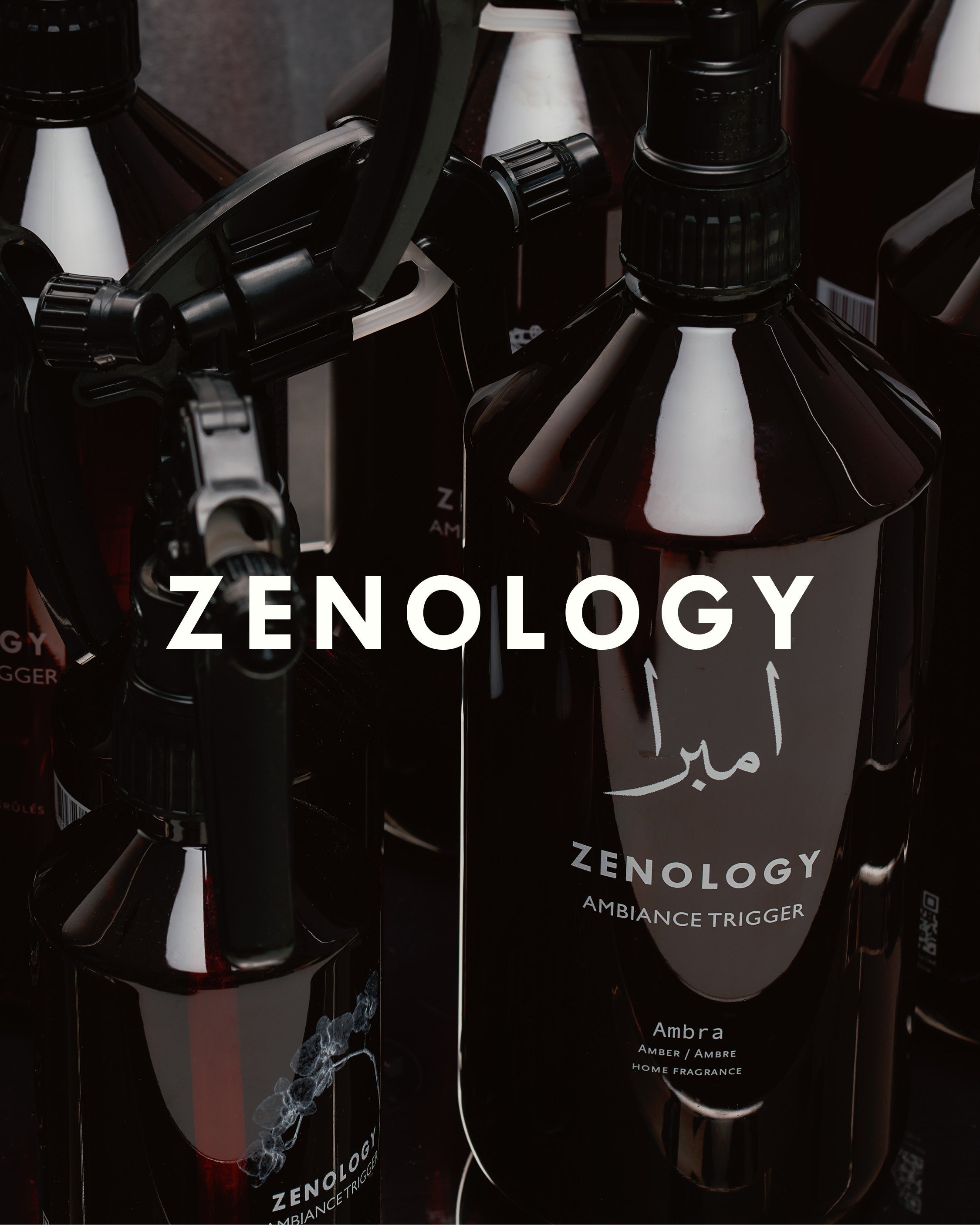 Zenology