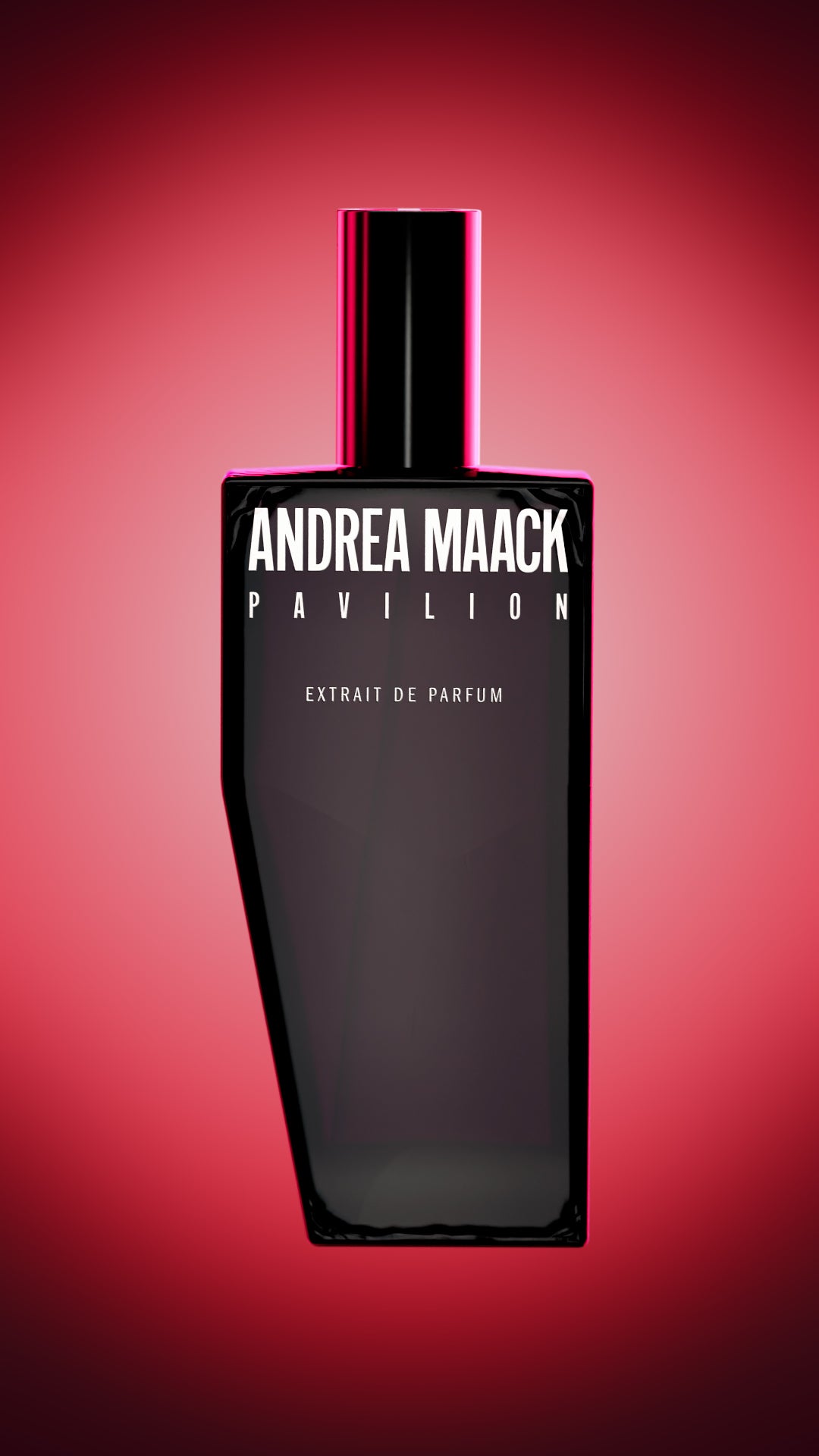 Andrea Maack - Pavilion