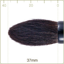 Chikuhodo - Z-2 Highlight