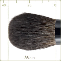 Chikuhodo - Z-4 Cheek/Highlight